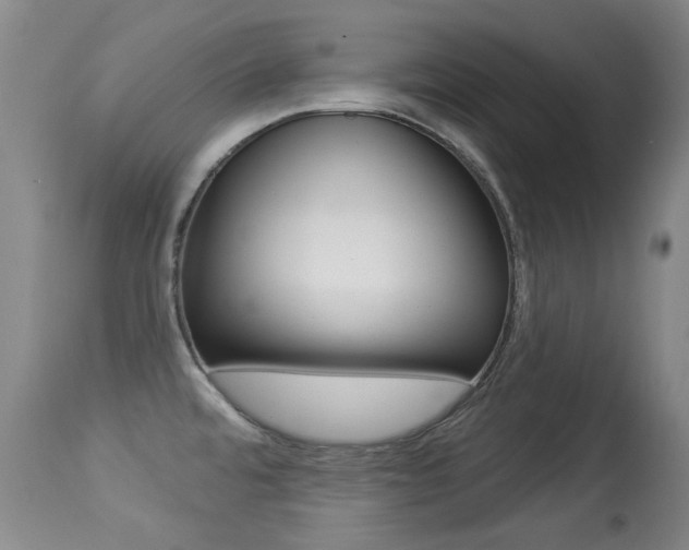 X0000113281480200909140929