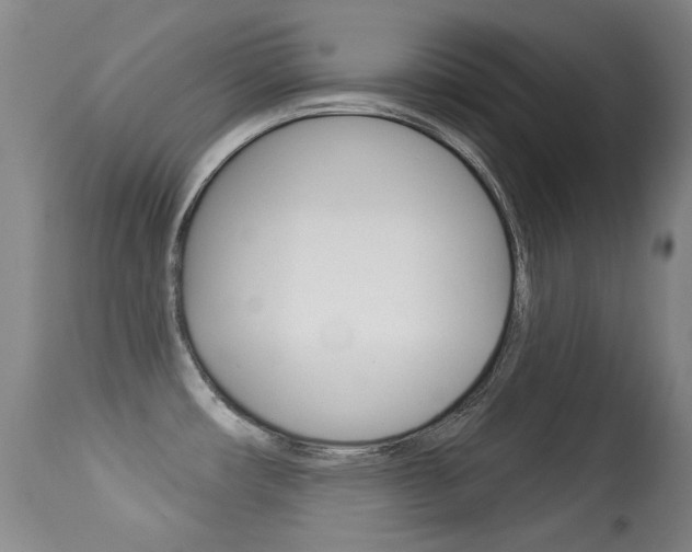 X0000113281482200909140929