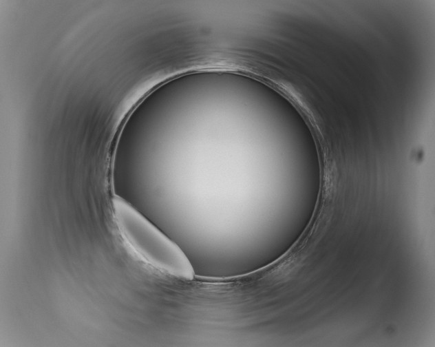 X0000113281484200909140929