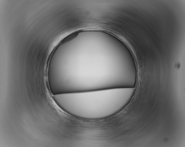X0000113281485200909140929