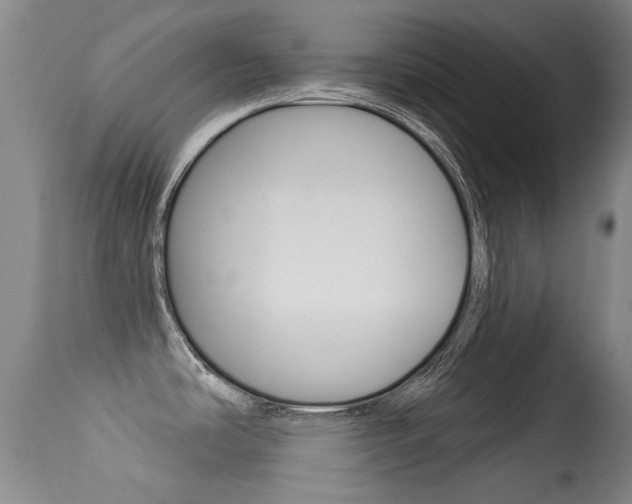 X0000113281486200909140929