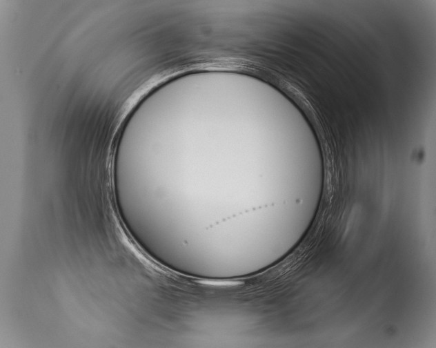 X0000113281487200909140929