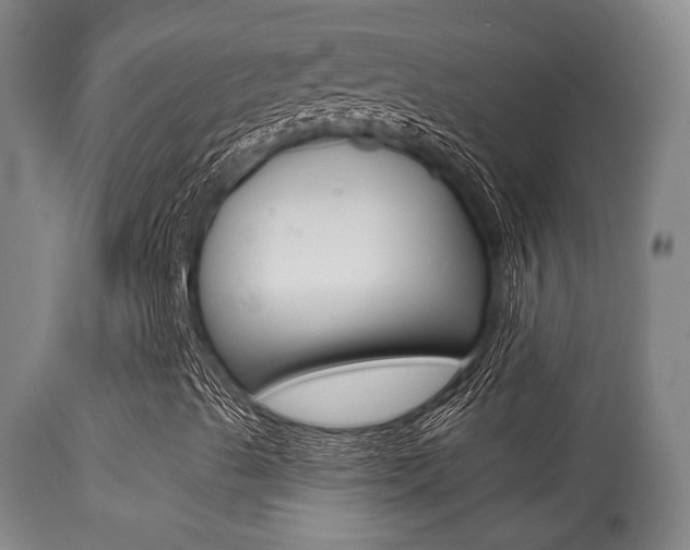X0000113281489200909140928