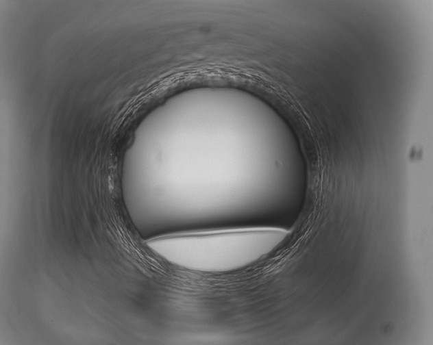 X0000113281490200909140928