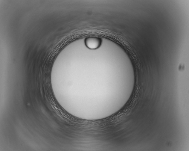 X0000113281492200909140928