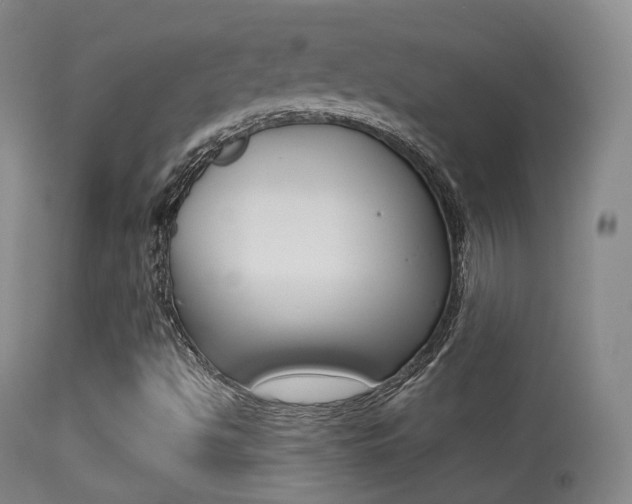 X0000113281494200909140928