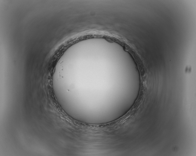 X0000113281495200909140928