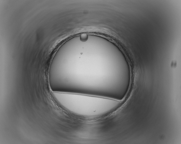 X0000113281497200909140928