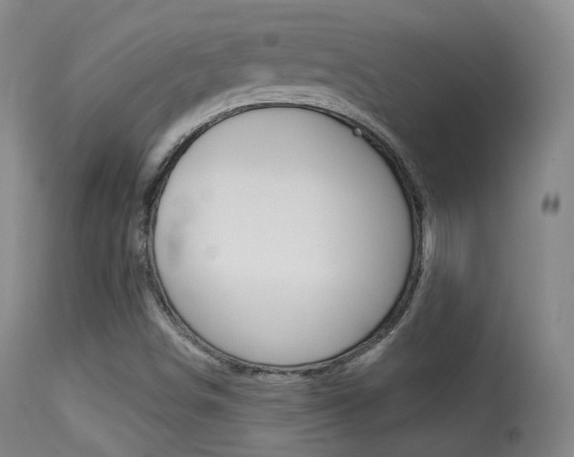 X0000113281498200909140928