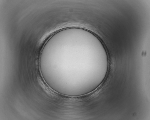 X0000113281499200909140928