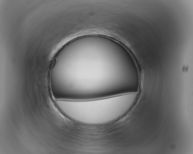 X0000113281500200909140928