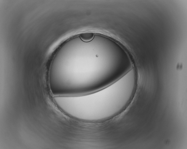 X0000113281502200909140929