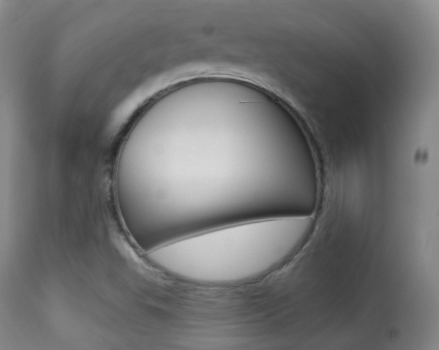 X0000113281503200909140929