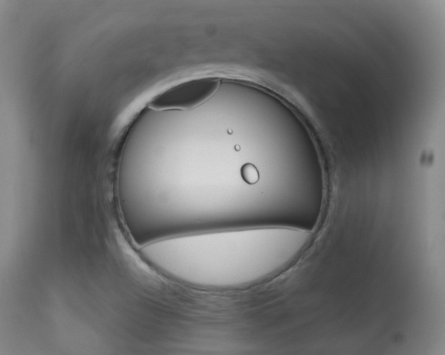 X0000113281504200909140929