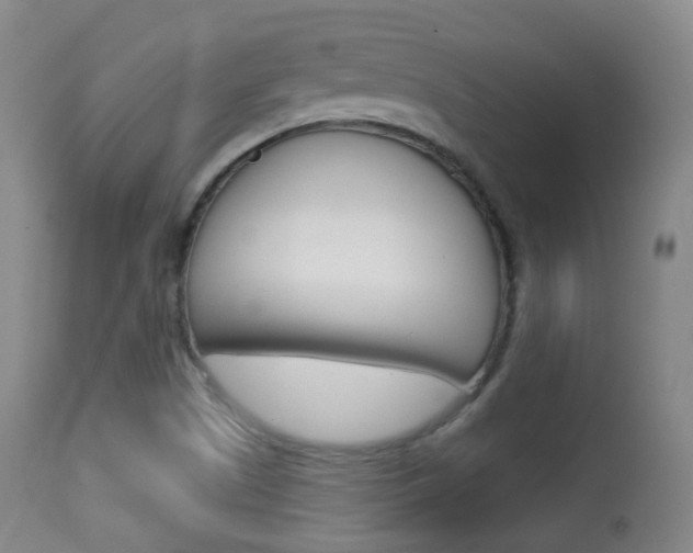 X0000113281505200909140929