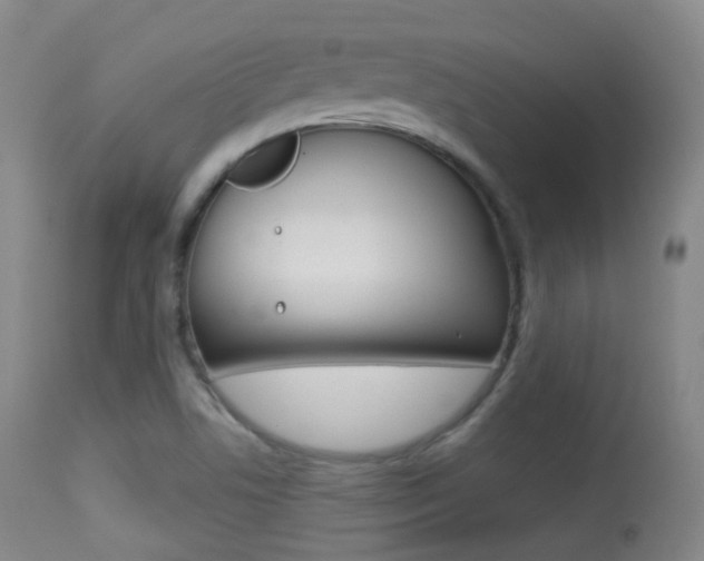 X0000113281506200909140929