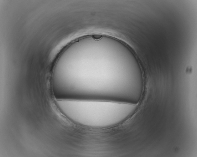 X0000113281507200909140929