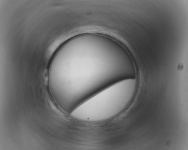 X0000113281509200909140929