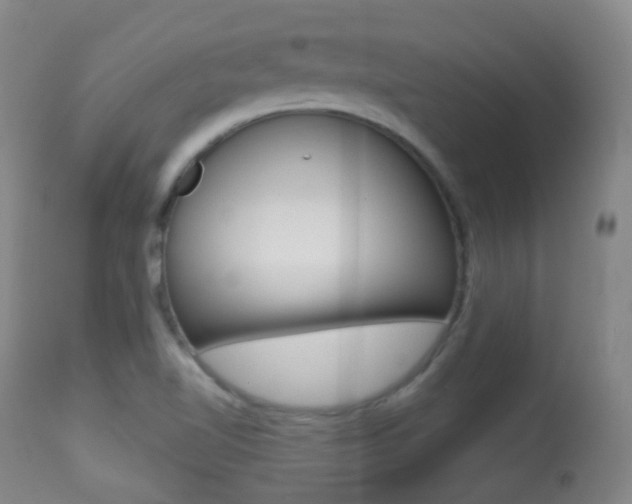 X0000113281510200909140929