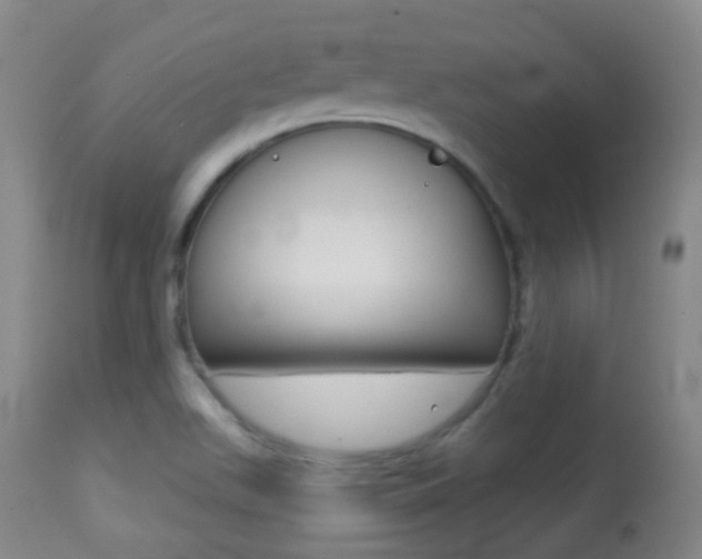X0000113281511200909140929