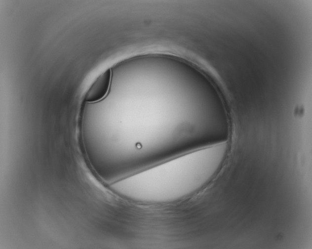 X0000113281512200909140929