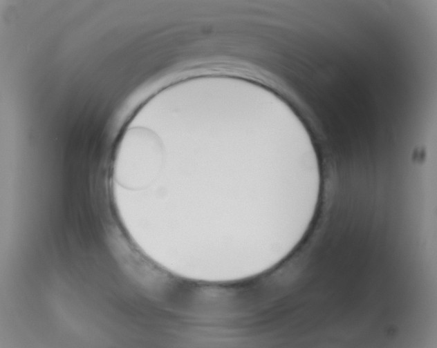 X0000113281514200909140929