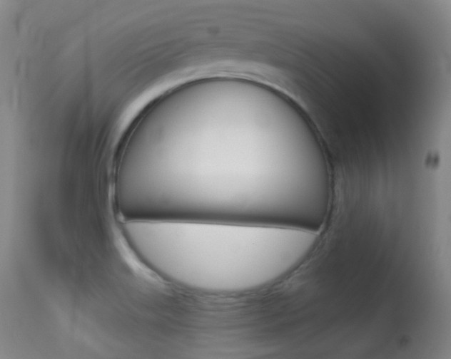 X0000113281515200909140929