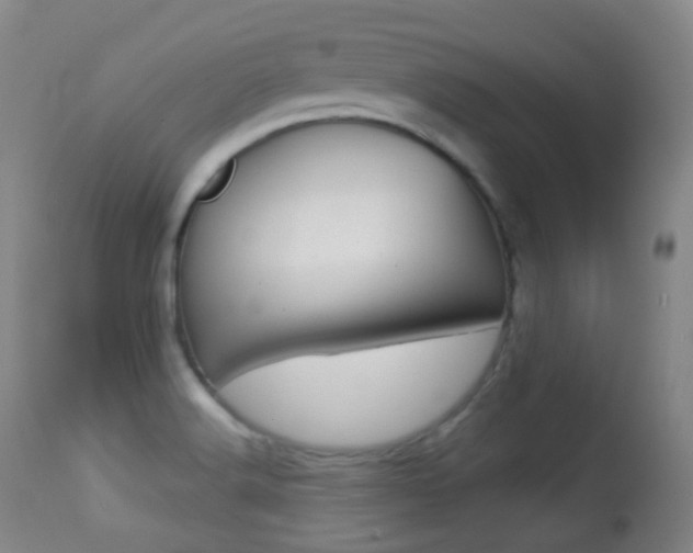 X0000113281516200909140929