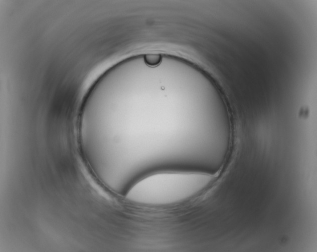 X0000113281517200909140929