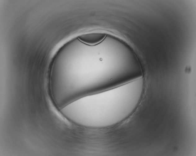 X0000113281518200909140929