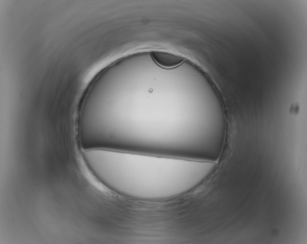 X0000113281519200909140929