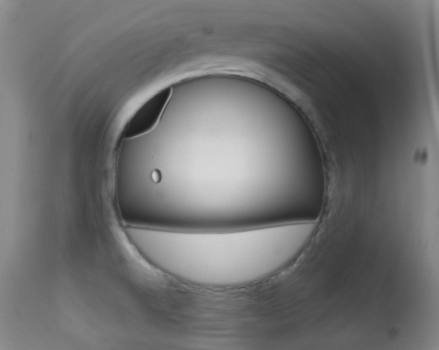 X0000113281520200909140929