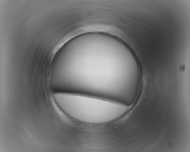 X0000113281521200909140929