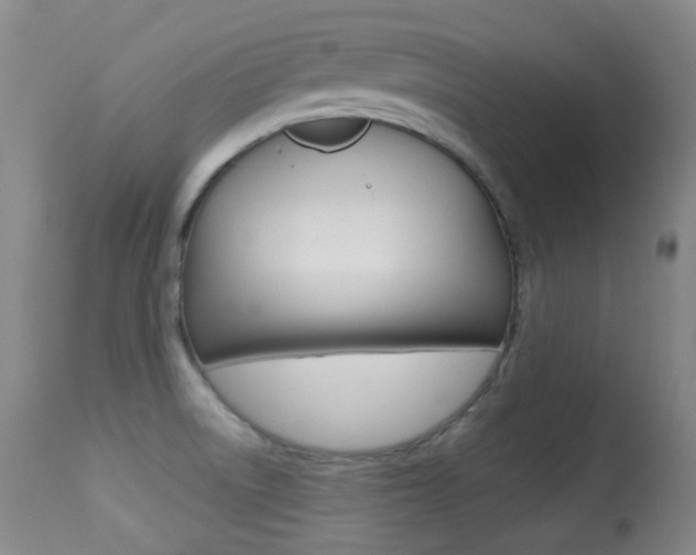X0000113281522200909140929