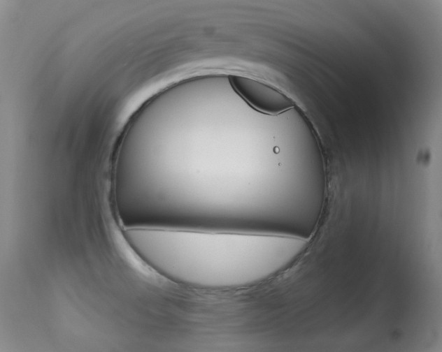 X0000113281523200909140929