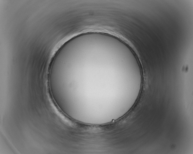 X0000113281525200909140929