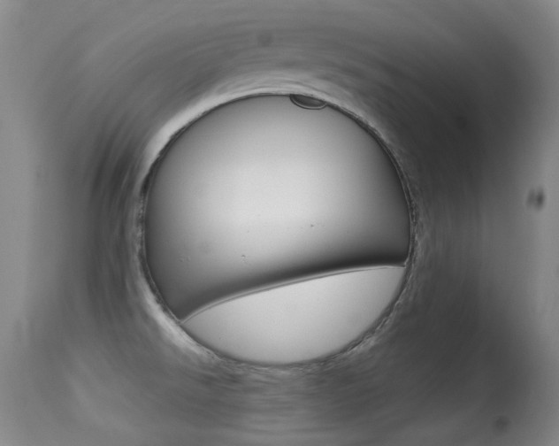 X0000113281526200909140929
