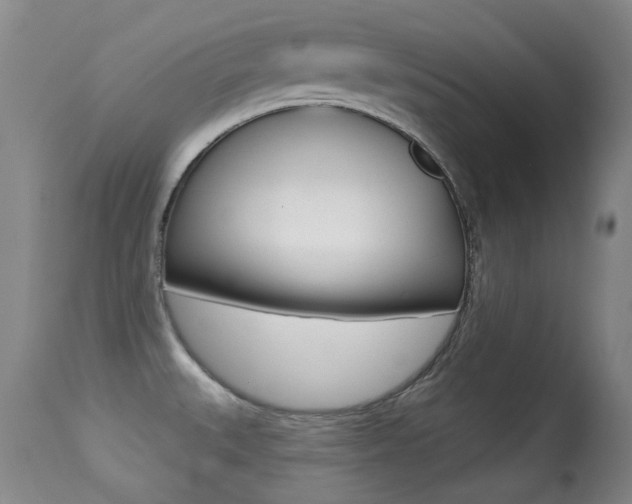 X0000113281527200909140929