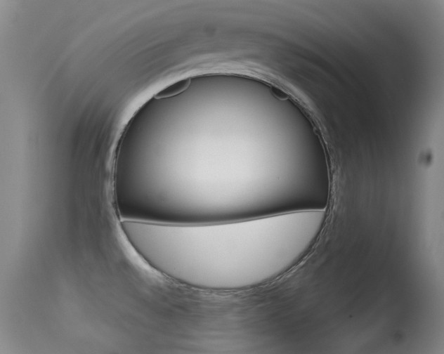 X0000113281528200909140929