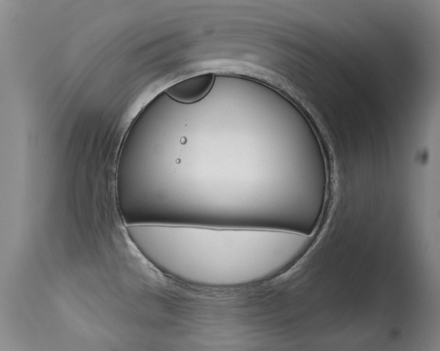 X0000113281529200909140929