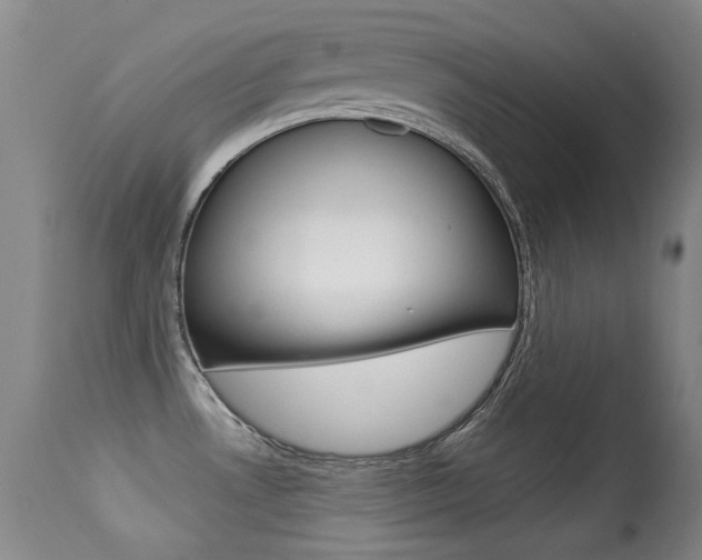 X0000113281530200909140929