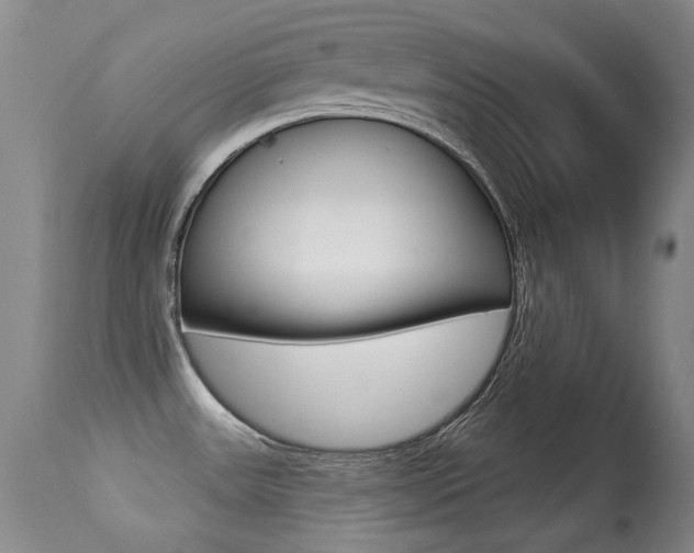 X0000113281531200909140929