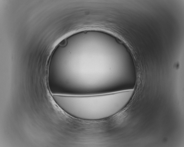X0000113281534200909140929
