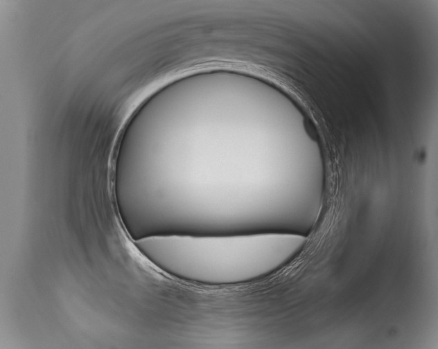 X0000113281535200909140929