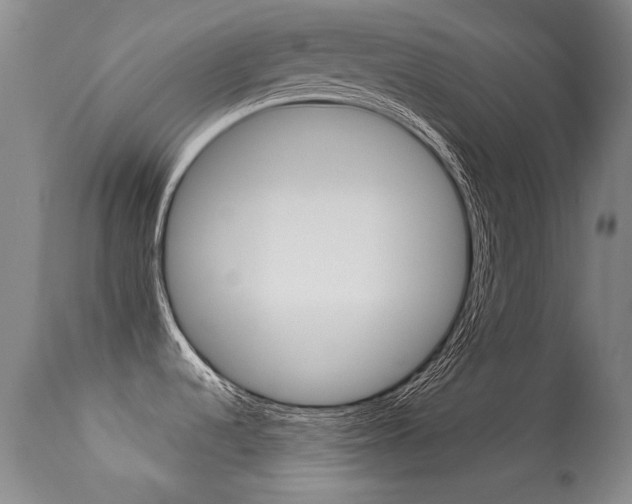 X0000113281536200909140929