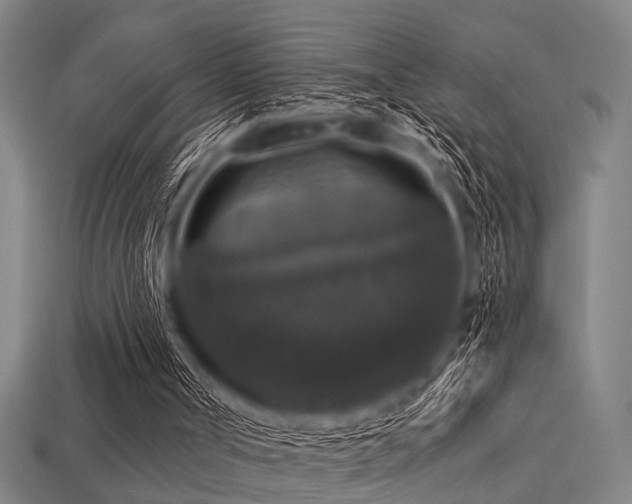 X0000113280002200909141235