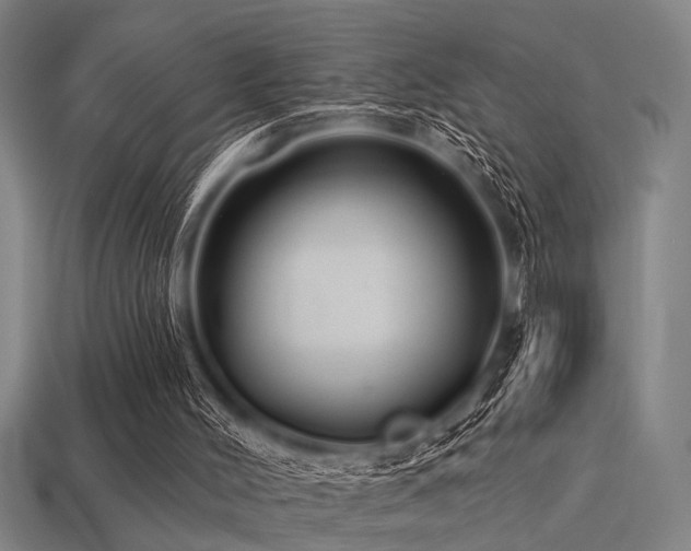 X0000113280004200909141235