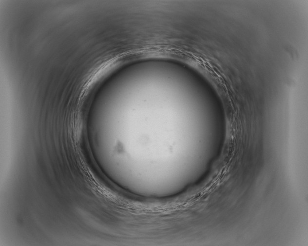 X0000113280005200909141235