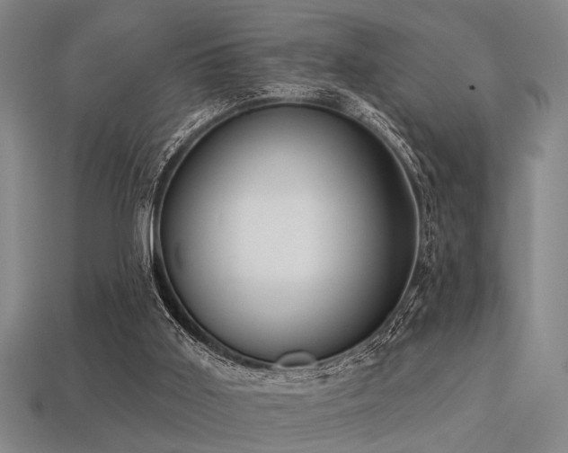 X0000113280011200909141235