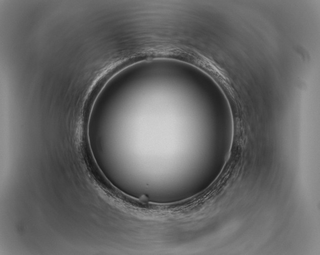 X0000113280012200909141235